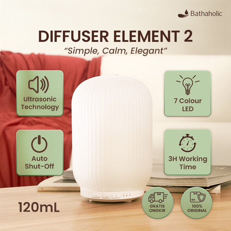Diffuser Element 2