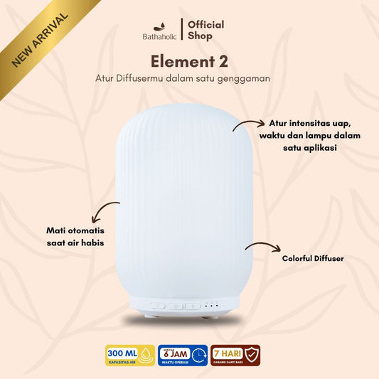 Diffuser Element 2
